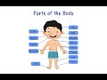 LKG GK Parts Of The Body