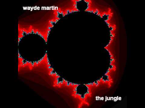 Wayde Martin - After The Sunset