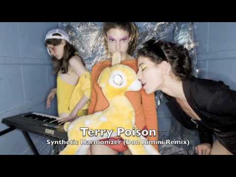 Terry Poison - Synthetic Harmonizer (Don Rimini Remix)