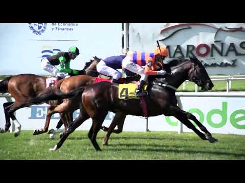 221002 c03 LADINO (BRZ)