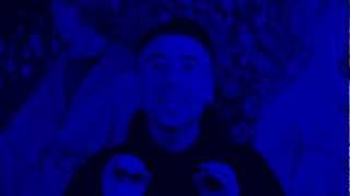 Pour Faire Le Portrait D'Un Oiseau  . . . by Ata GET