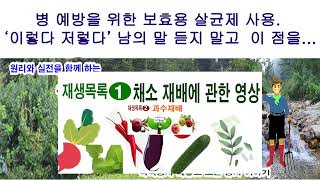 병 예방을 위한 보호용 살균제 사용. '이렇다 저렇다' 남의 말 듣지 말고 이 점을 생각해야 (농약 치기, …