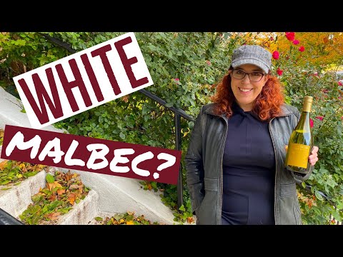 White Malbec for Thanksgiving? The Vicentin Family Wines Blanc de Malbec