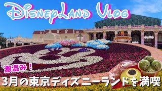 【Disney Vlog】40周年ディズニーランド🎀極寒×春休みシーズン2024