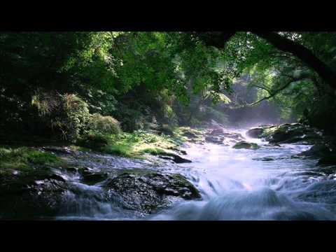 The Rowan Tree: Instrumental Music by Llewelyn