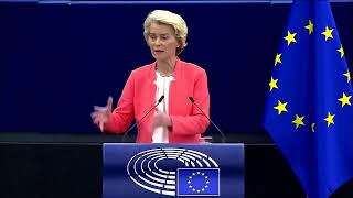 Von der Leyen praises Ukraine's progress to EU