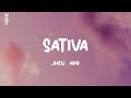 Sativa Jhené Aiko Lyrics