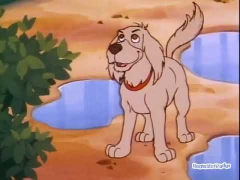 Punky a levada da breca