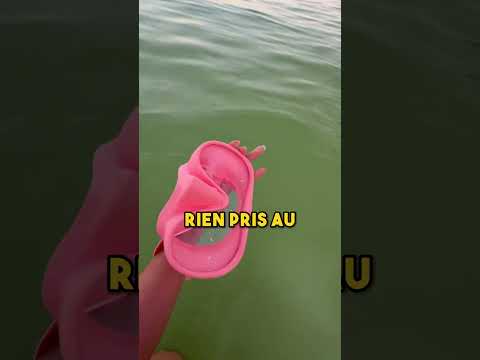Personne ne s’attendait à ce signe dans l’océan 🌊