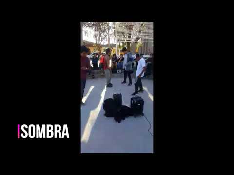 SEXTO ELEMENTO CALAMA / FILTROS: PAREDES VS AGNESIA VS DELTA-K VS SOMBRA