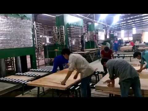 Quy trình hoạt động sản xuất Nhà máy ván dán MD