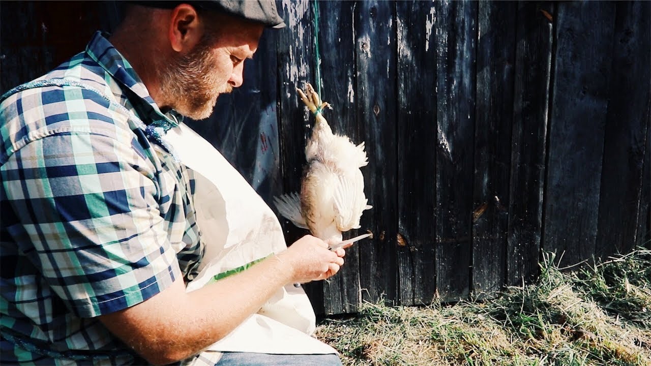Max Byck #79 – Butchering Poultry – Ancestral Kitchen Podcast