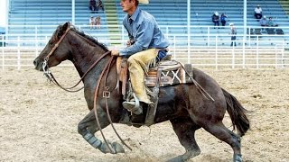 She's In Love With A Rodeo Man....Don Williams Cover