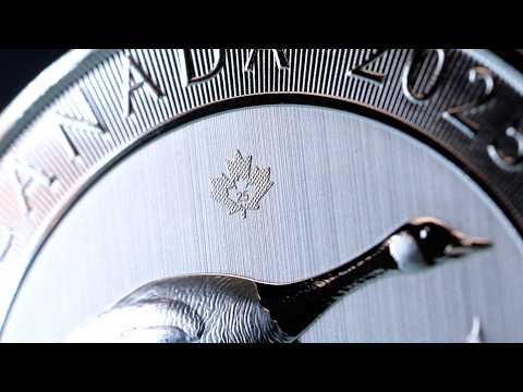 EPIC UNBOXING Of Canada's New 2oz Silver Goose Coin!