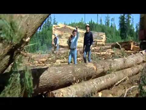 オレゴン大森林 わが緑の大地 (Sometimes a Great Notion - All His Children)