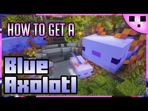 Minecraft Blue Axolotl Summon Command (Java)