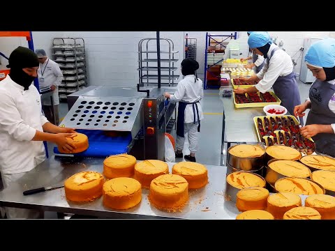 The Largest Confectionery Factory in Uzbekistan. Inside City of Sweets, 400 Sq/m.