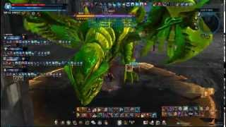 발로나 검탱시점