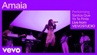 Santos Que Yo Te Pinte Lyrics English Translation