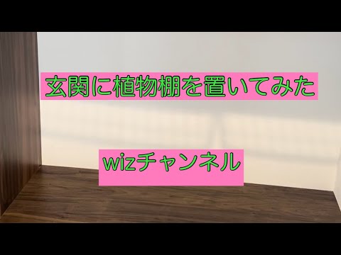 パイクローズ 植物