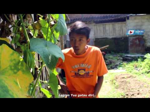 film-pendek-komedi-tuo-ra-kontrol-bagian-4