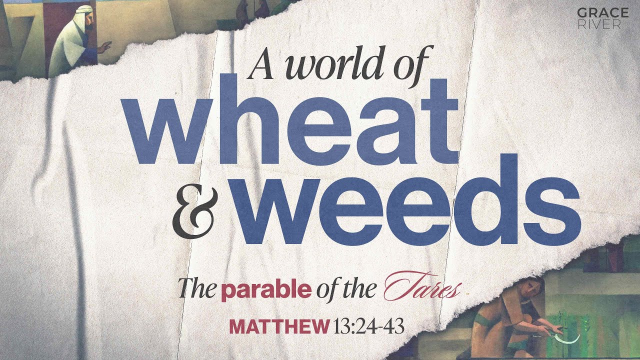 A World of Wheat & Weeds