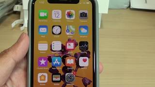 iPhone XS: How to Reset Face ID