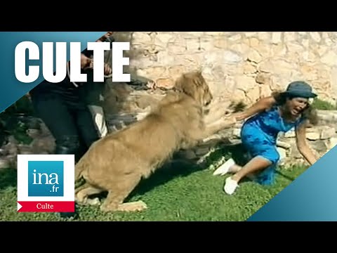 1997 : Marie Ange Nardi attaquée par un lion en direct | Archive INA