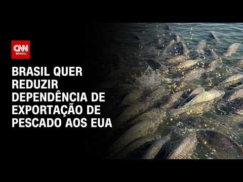 Brasil busca reduzir dependência de exportações de pescado aos EUA | CNN AGRO NEWS