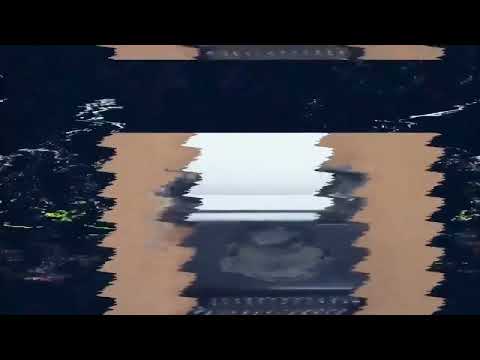 daniel profeta - Today I Forgot to Keep Myself Alive