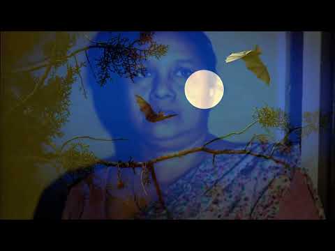 Handa Pane Mal Pipuna / Sisira Senarathne & Indrani Senarathne හද පානේ මල් පිපුණා