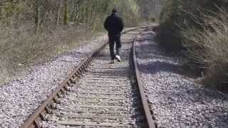 The Cowboy Junkies. "A Voice in the Mist." The Connoisseur's Collection.