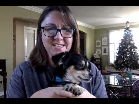 Daily Intention - Ms. Herford