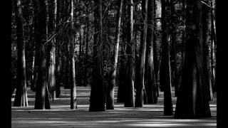 "Man In The Long Black Coat" written by Mr. Dylan (arrangement R Talley) 7 6 15