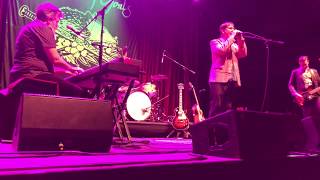 Liza Forever Minelli (Live) - The Mountain Goats
