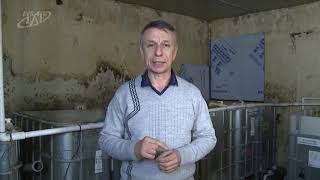 Рыболовное хозяйство в нижнем