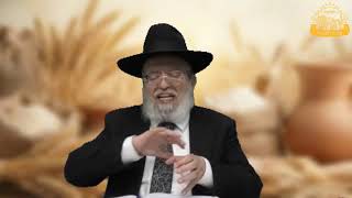 דף היומי בחצי שעה – מסכת מנחות דף צ”ד