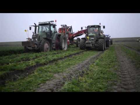 Wortels Rooien Kuil Banden Tractorbanden