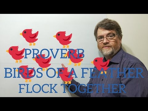 英語の家庭教師Nicky Pの箴言（133）羽の鳥は一緒に群がる (English Tutor NicK P Proverbs (133) Birds of a Feather Flock Together)