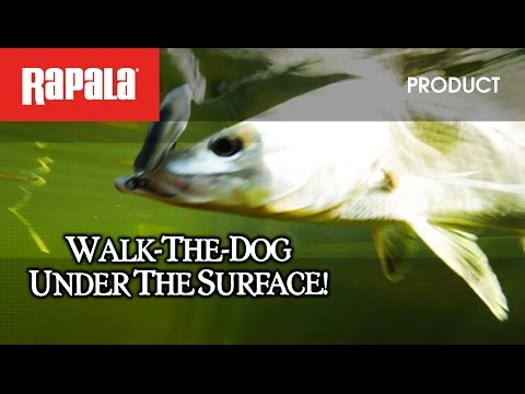 Rapala X-Rap Saltwater SubWalk 9cm 20g RDB