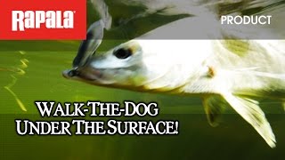 Rapala X-Rap Saltwater SubWalk 07_BSRD