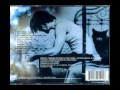 Chris Cornell - Wave Goodbye (Euphoria Morning)
