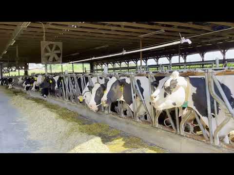 EPA とハーシーは、ペンシルベニア州のランド・オレイクス・メンバーの酪農場に 200 万ドルを約束