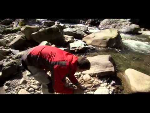 Man vs  Wild  Slug Snack