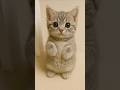 A Gray Tabby Cat With Striped Fur Will Melt Your Heart As It Sings APT Trendingshorts