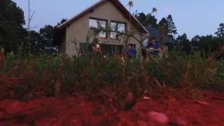 faze tari cainele doboara drona