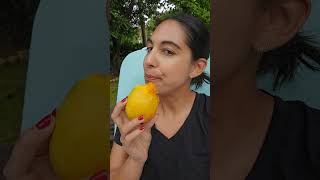 Everything we ate in Saint Lucia 🇱🇨 #stlucia #saintlucia #caribbean #caribbeanfood