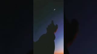 tiktok sarkisi icime sevda kacar indir tiktok sarkisi icime sevda kacar mp3 indir