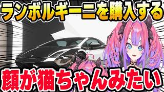 【 Forza Horizon 6 】ネコ目がかわいいランボルギーニに乗り１位になるヴィヴィ【ホロライブ切り抜き/綺々羅々ヴィヴィ】