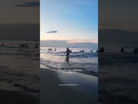 😮‍💨 Con esta hermosura de playa cualquiera se acostumbra a no trabajar.